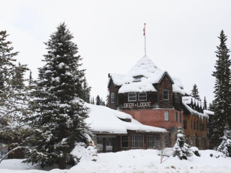 Deer Lodge Lake Louise Εξωτερικό φωτογραφία
