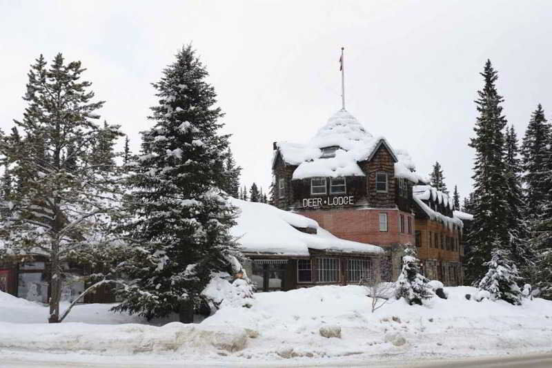 Deer Lodge Lake Louise Εξωτερικό φωτογραφία